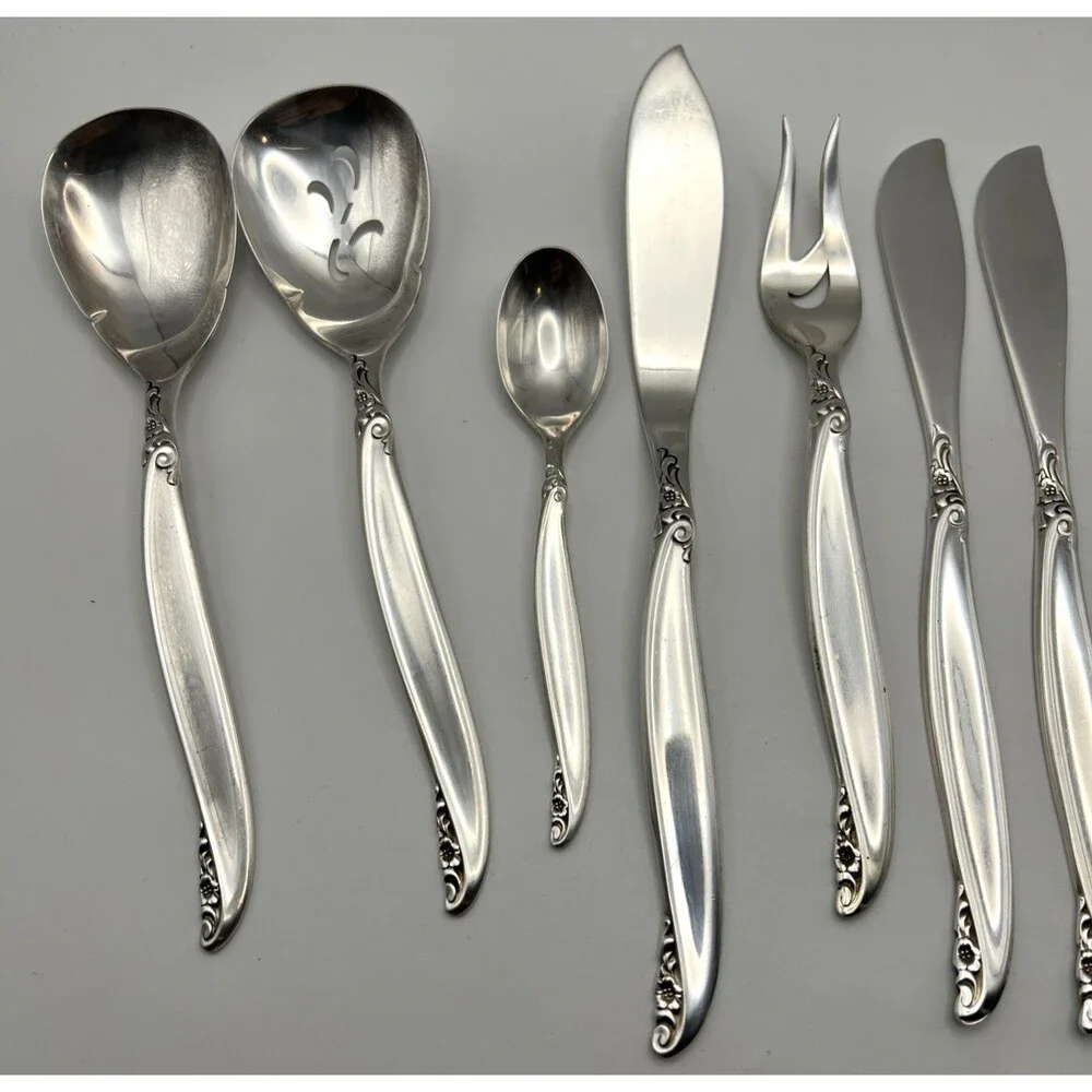 1847 ROGERS BROS IS  (International Silver) Leilani 12 Pc. Set Variety